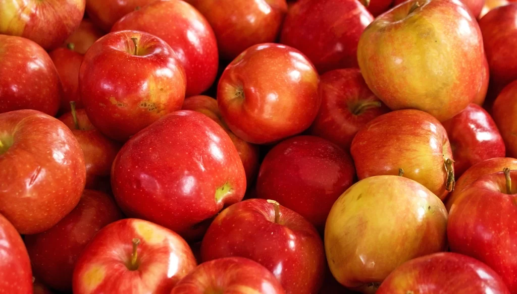 close up shot of apples